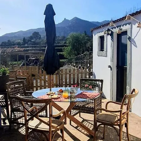 Vivienda Vacacional La Lavanda * Vega de San Mateo