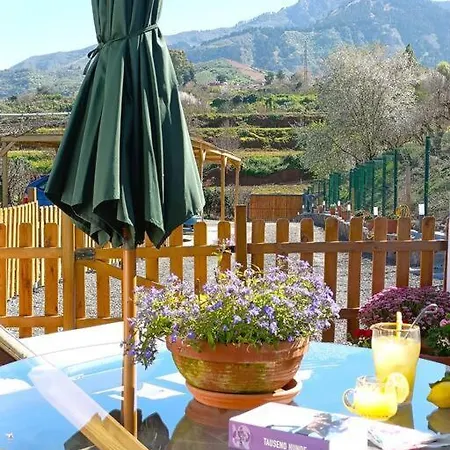 Vivienda Vacacional La Lavanda 베가데산마테오