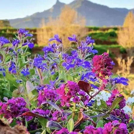 Vivienda Vacacional La Lavanda 베가데산마테오